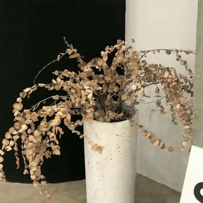 饶阳FurryQQ群介绍